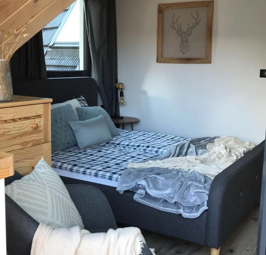 扎科帕内Sarnia Skala House别墅